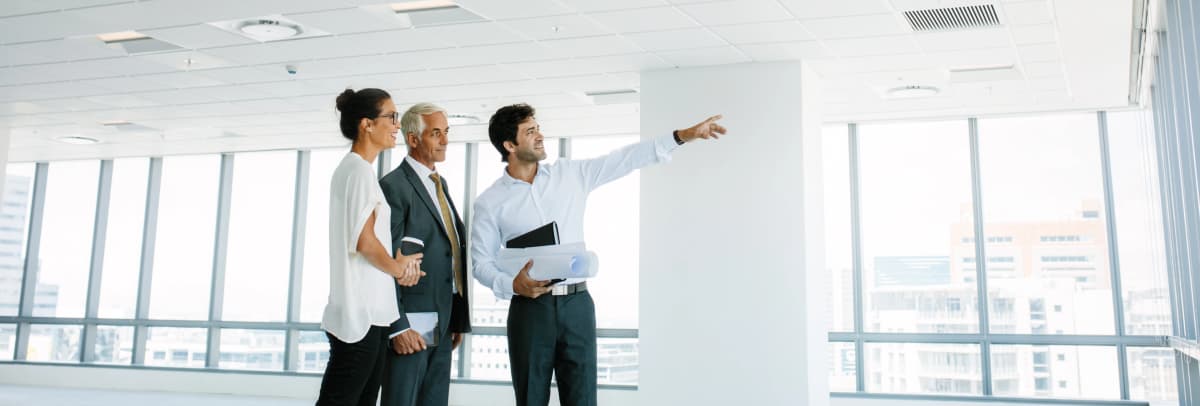 Business professionals and architect reviewing blueprints and pointing at construction plans in bright modern office space