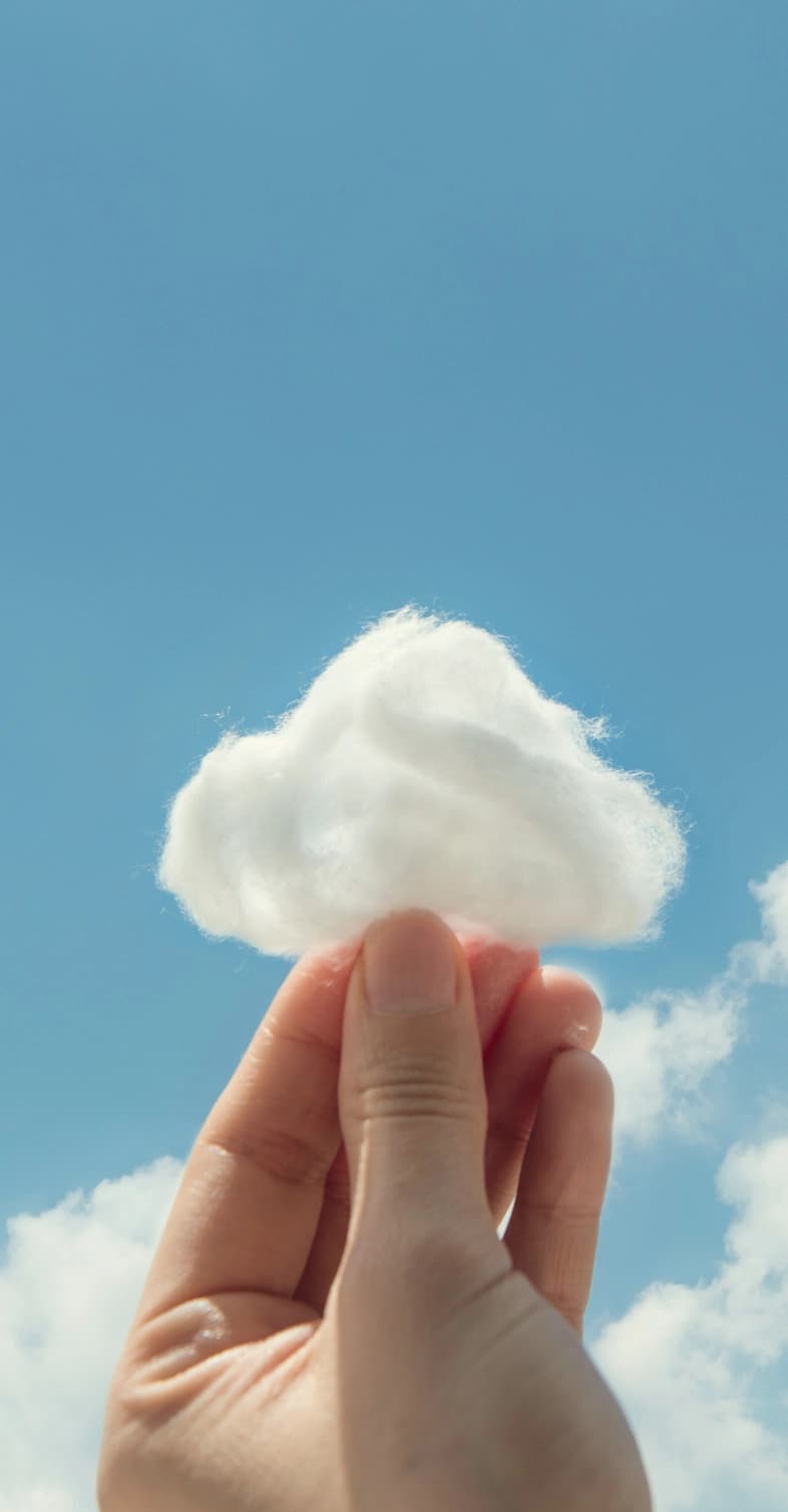 Connect SAP Business image