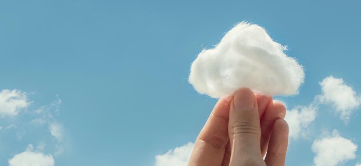 Connect SAP Business image